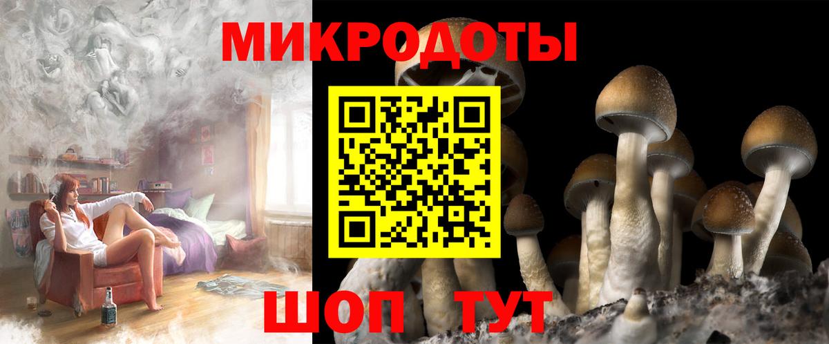 Псилоцибиновые грибы мухоморы Нижний Тагил